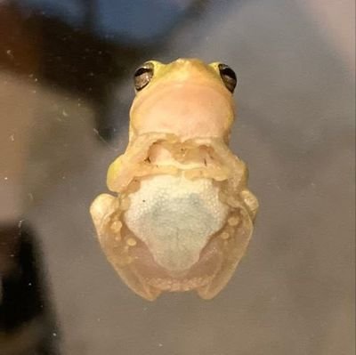 one_aln_'s profile picture. I luv cute things and .... quite literally everything