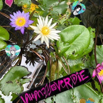 @sasi_pprstle012