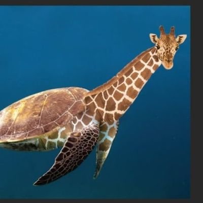 899fernsfight's profile picture. aspiring xenologist