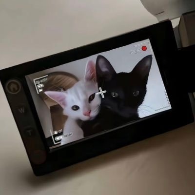 haruharumil's profile picture. 