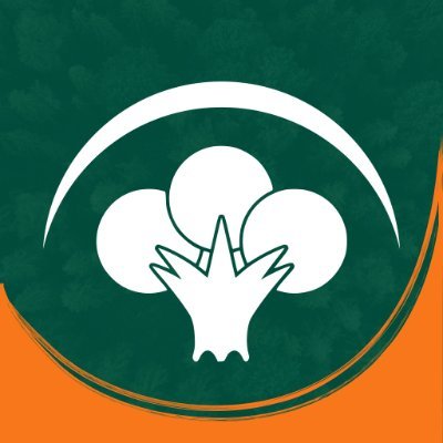 theforest_ai's profile picture. AI-powered solutions that drive real change for our clients. We build products that shape industries and deliver results. Let’s build your future together! 🚀