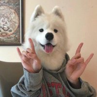 ɴᴋ 🐈‍⬛🌱 (@sorrynotsilent) 's Twitter Profile Photo