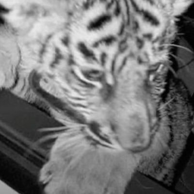 htxjvy's profile picture. 