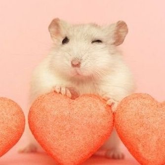 potatolover923's profile picture. 하나씩 반칙을 쓸게
심장에 내 이름이 쓰이게