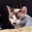 zuoye_c's profile image