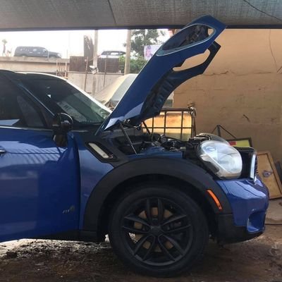 rexcoinai's profile picture. 