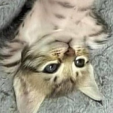 ng_hm97's profile picture. ♿️♿️♿️