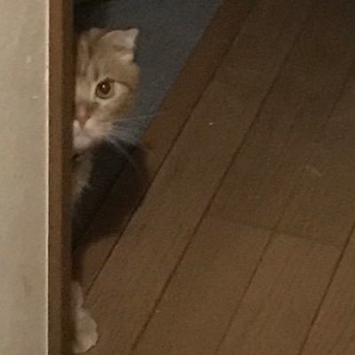 30_3150Yay's profile picture. 