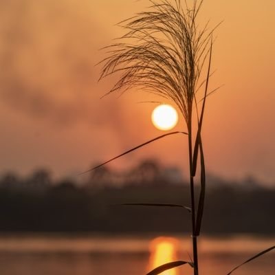 Kingkon199800's profile picture. 