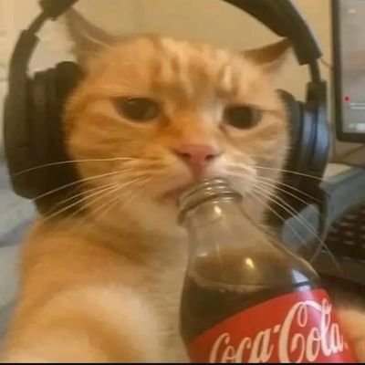 7royan_'s profile picture. Arg 🇦🇷 // 
F1 Fan #43 🏎️ //
9z 💜