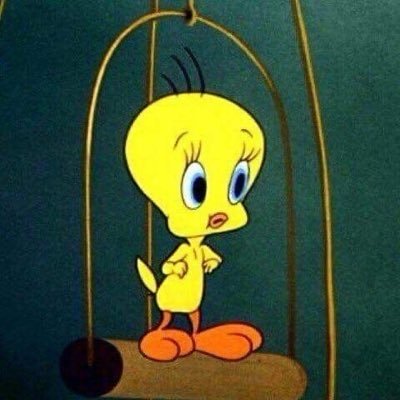 thismonthisjan's profile picture. 