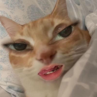 scrt_aisy's profile picture. positive zone