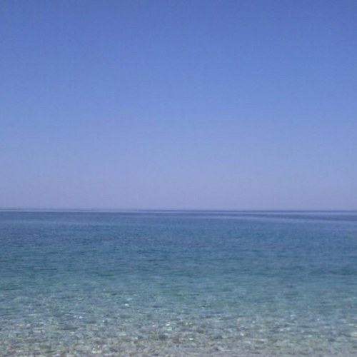 anactaciia's profile picture. 