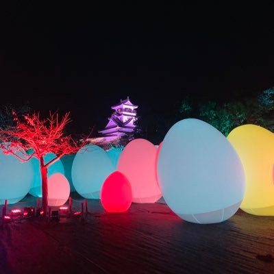 mana007766's profile picture. 避難用