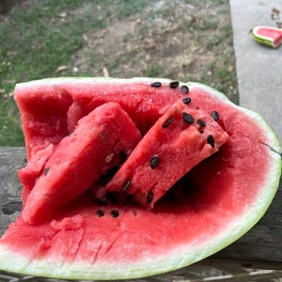 SteveSmitharv's profile picture. 