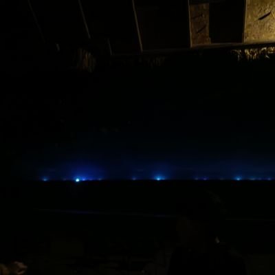 inainight's profile picture. 