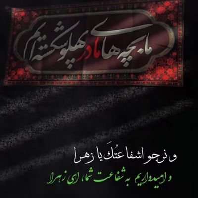 MahdeihV36832's profile picture. 