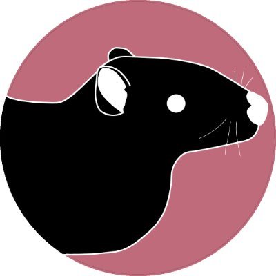 preaimerss's profile picture. 🇧🇷 Brazilian aim community focused on improvement!