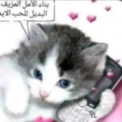 fefalida's profile picture. destruindo o falso normal