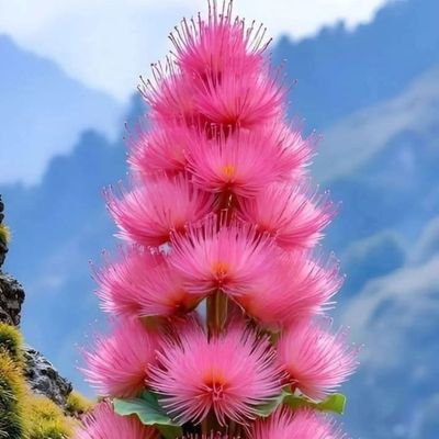 HizmAlo's profile picture. Farkı Farket, Kendini Hisset, Duygularını yönet, Amacını düşün, Anlamını Bul, Hayatını Yaşa,.... :))🥰🥰