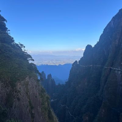 chenzhuquan1's profile picture. vae
