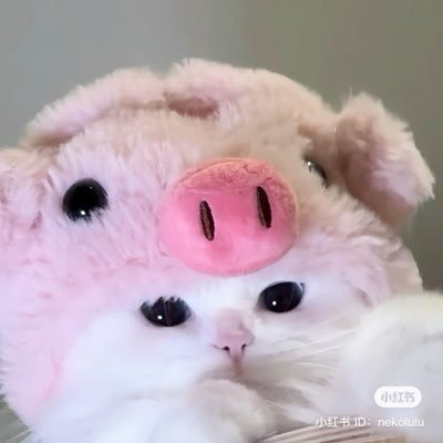 galmonq's profile picture. 𐔌 ᝰ ꜰᴀɴ ᴀᴄᴄᴏᴜɴᴛ ⋆✿˖°┆⌗ ᴀᴜᴀᴜꜱᴀᴠᴇ ( 🦋🐱 )┆⌗ ᴅᴇxx ᯓ‧ — ★₊˚ ( @auautnp @savewrg ) 🖍️ —