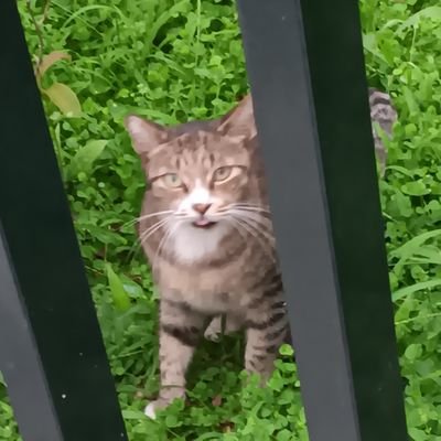 mogu_8787's profile picture. 