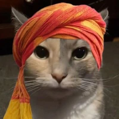 Vinayakgoe46609's profile picture. Backend Developer looking for some oppotunities.