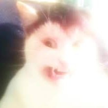 chjs111's profile picture. 