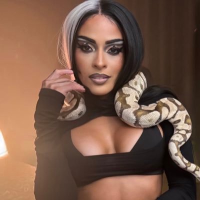 UnrivaledVixen's profile picture. The only woman that brings success to everyone that she’s around. The brains to every operation she’s behind. She is Zelina Vega. NOT @Zelina_VegaWWE.