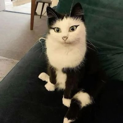 hwangsaaa's profile picture. 