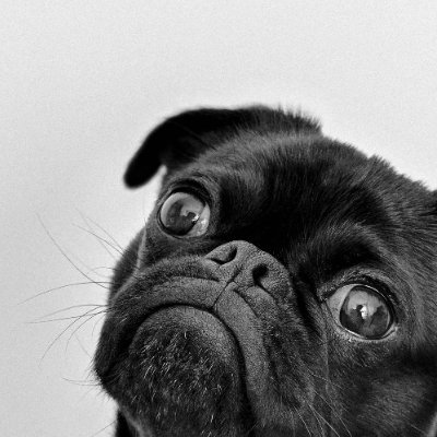 eyfsd34969869's profile picture. Olympic hopeful & Web3 advocate. Training for gold, investing for freedom.