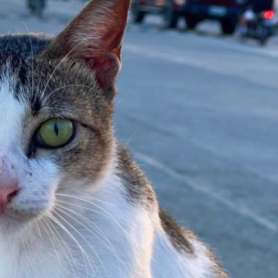 millerboi50's profile picture. Yes