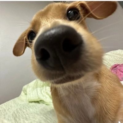 1995nongpp's profile picture. Jimmy_sea🥑🩵💜🌊Daou_offroad🦖🦖