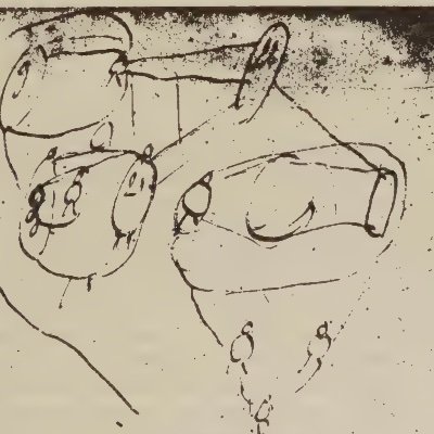 PervertGuide's profile picture.