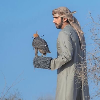 princefaisal31's profile picture. 