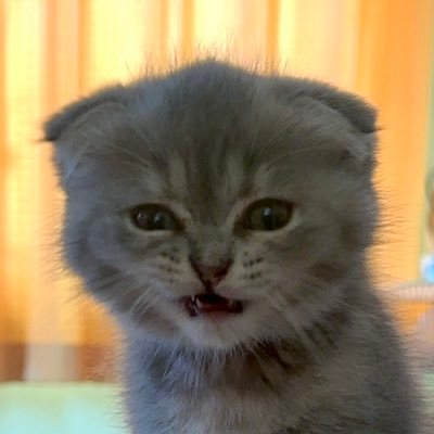 muth_29ynth's profile picture. อย่าเรียกผมว่าที่รัก ถ้าไม่ได้รักผมเหมือนที่เรี้ยกกกกกกกกกกกก 🩷🩵 — 🐰🦆