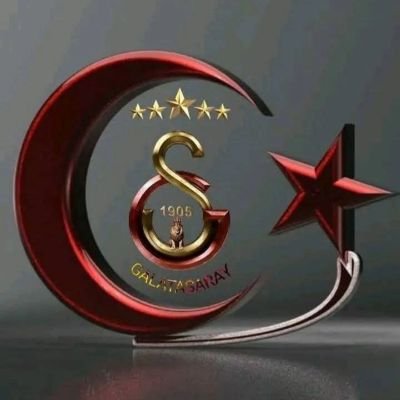 beysahin336's profile picture. 