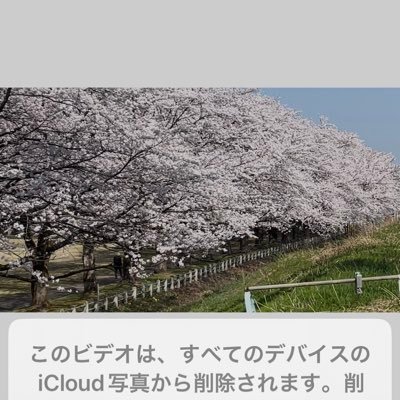KMi86k5's profile picture. エネルギー革命の夜明けを応援します、新自由主義よさらば、原発再稼働反対派、原発反対        平和主義!戦争反対!    フェイクファシズムからの脱却!