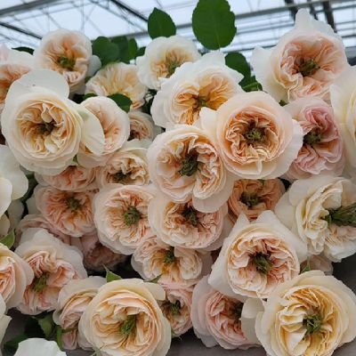 LexiWilson21401's profile picture. Be kind 🧑‍🦯