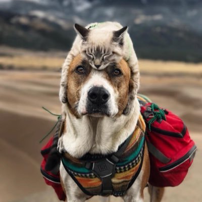 ElbowfoxLLC's profile picture. The hubris of humanity, manifesting malaise…a hatred born from the absence of hope; a contagious despair…at the mercy of forces with unknowable intentions.