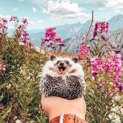 bimjohn32558's profile picture. 