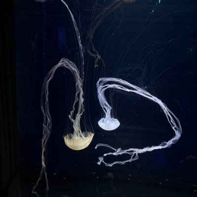 Hvn8Tt's profile picture. 