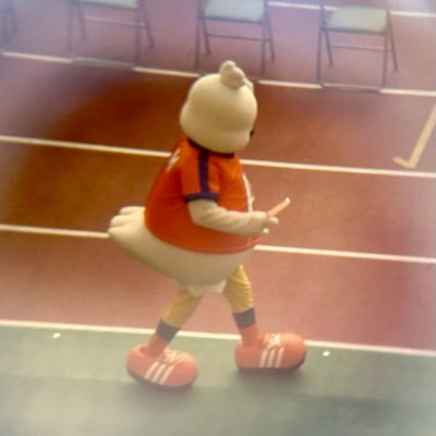 konkon_1525's profile picture. アルビレックス新潟