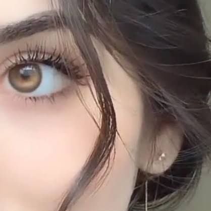 tda9aw's profile picture. 