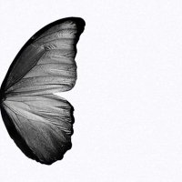 SM (@_i2227) 's Twitter Profile