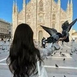 Caubur2403's profile picture. 