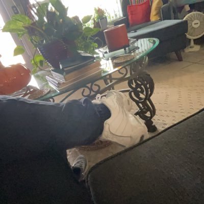 Sm2Ke's profile picture. cod challengers for @ | use code “smoke for 5% off @PulzeController | @glxck40 🦇