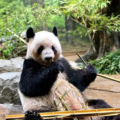 yu62839's profile picture. 広報・PRに関心📢公式情報や業界ニュースを中心に発信