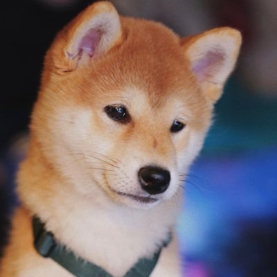 rainyday2453's profile picture. 